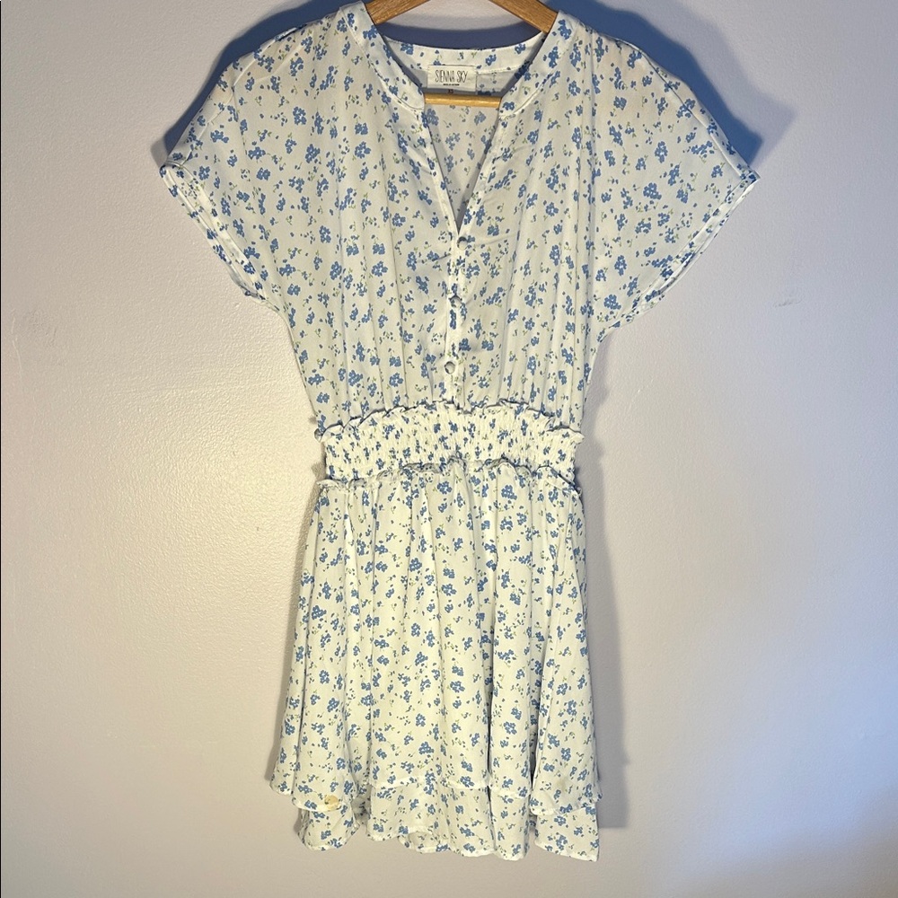 Sienna Sky Blue Floral Mini Dress